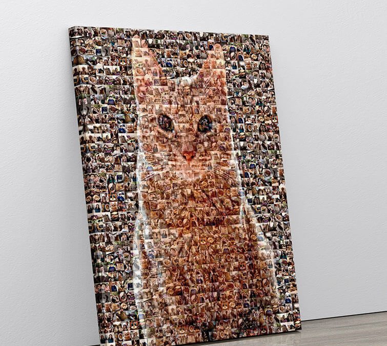 The Purr-fect Gift For Animal Lovers